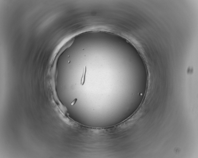 X0000093530816200710261250