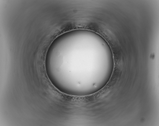 X0000093530817200710261249