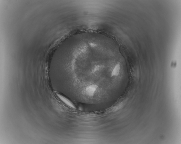 X0000093530818200710261249