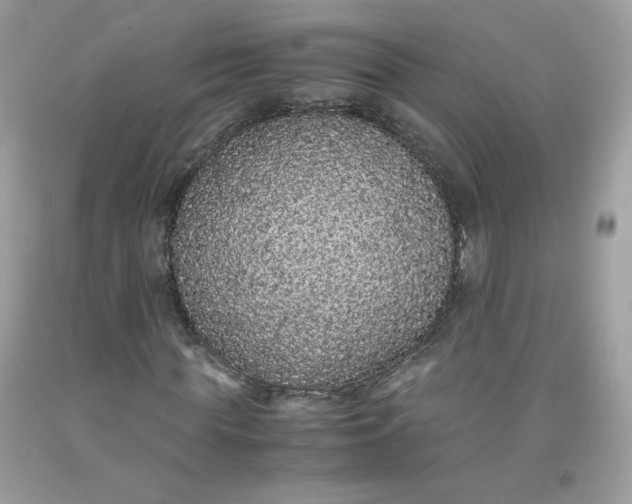 X0000093530819200710261249