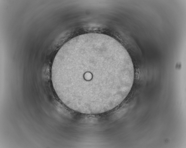 X0000093530820200710261249