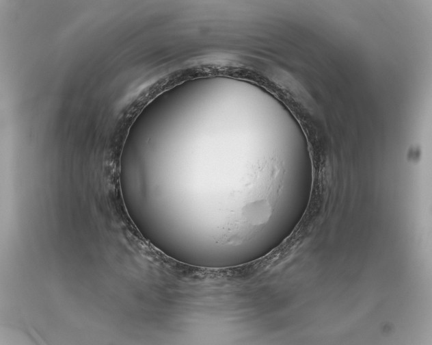 X0000093530822200710261249