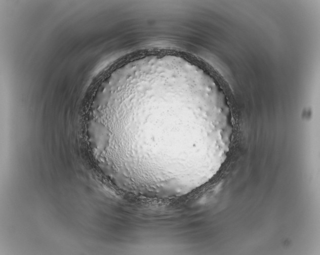 X0000093530823200710261249