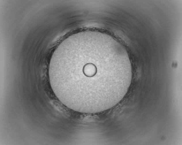 X0000093530824200710261249