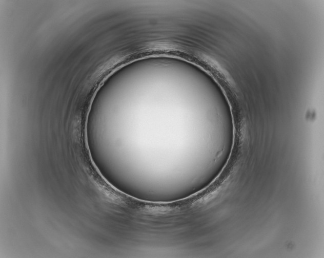 X0000093530825200710261249