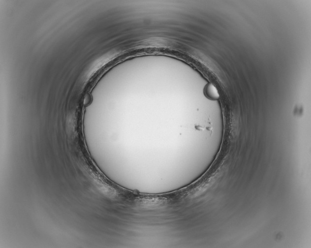 X0000093530826200710261249