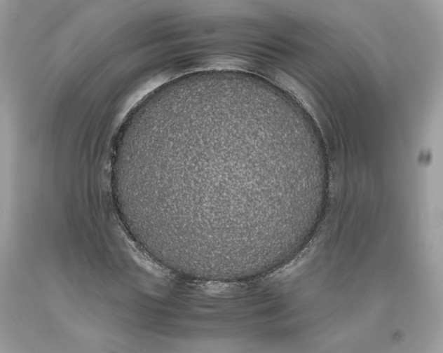 X0000093530827200710261249