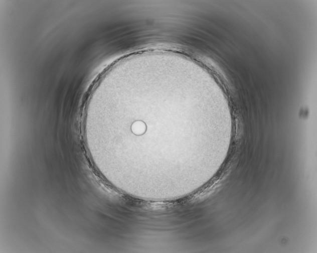 X0000093530828200710261249