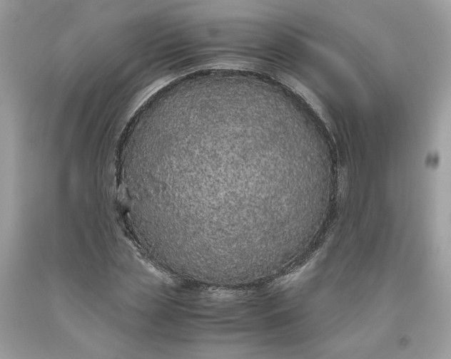 X0000093530829200710261249