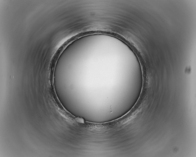 X0000093530830200710261249