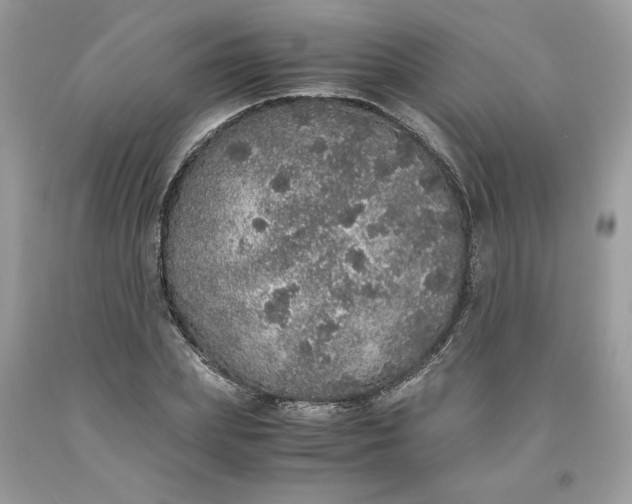 X0000093530831200710261249