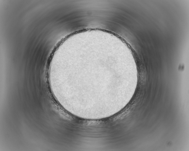 X0000093530832200710261249