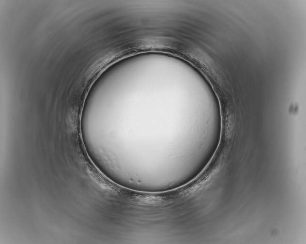 X0000093530833200710261249