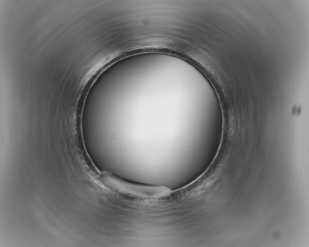 X0000093530834200710261249