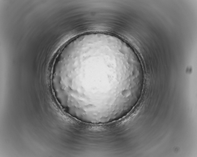 X0000093530835200710261250