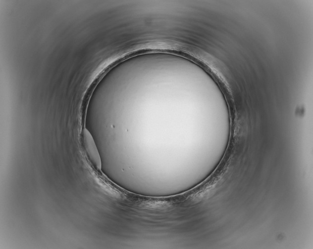 X0000093530837200710261250