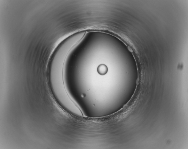 X0000093530838200710261250