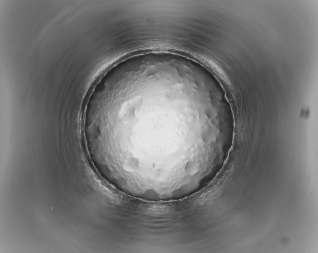 X0000093530839200710261250