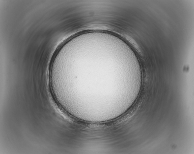 X0000093530840200710261250