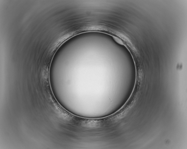 X0000093530841200710261250