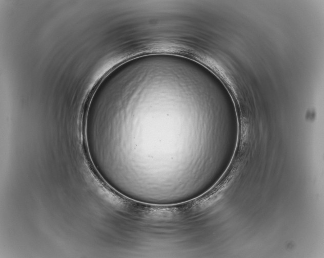 X0000093530843200710261250