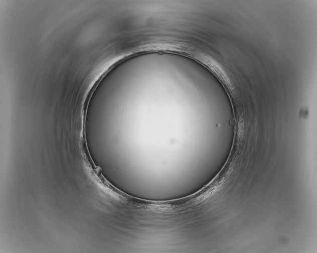 X0000093530844200710261250