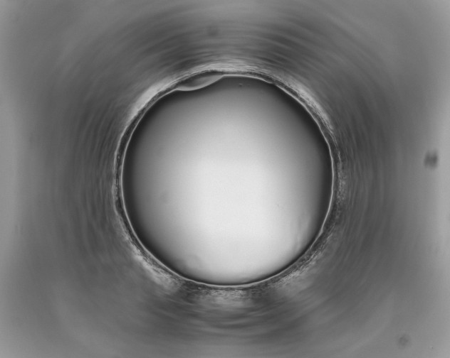 X0000093530845200710261250