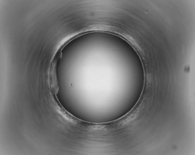 X0000093530846200710261250