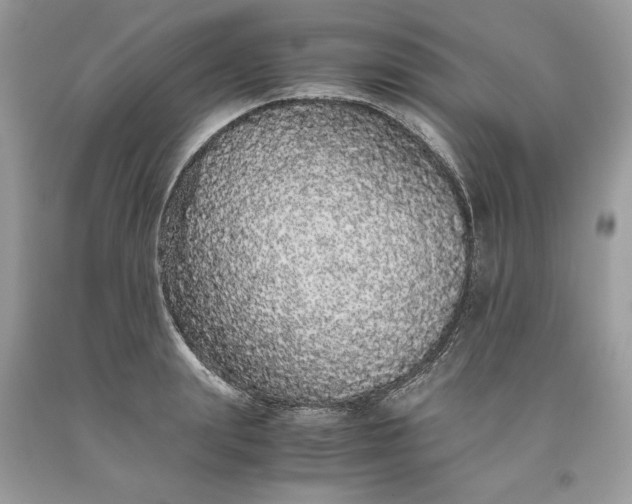 X0000093530847200710261250