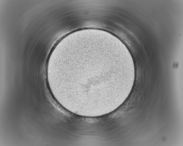 X0000093530848200710261250