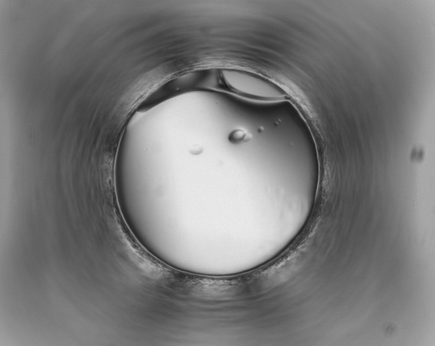 X0000093530849200710261250