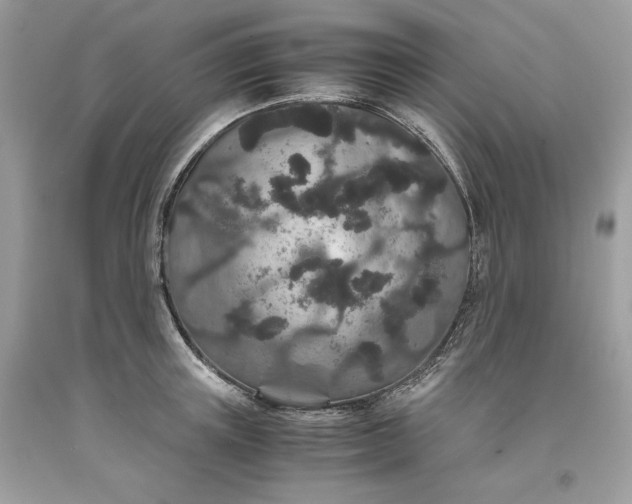 X0000093530851200710261250