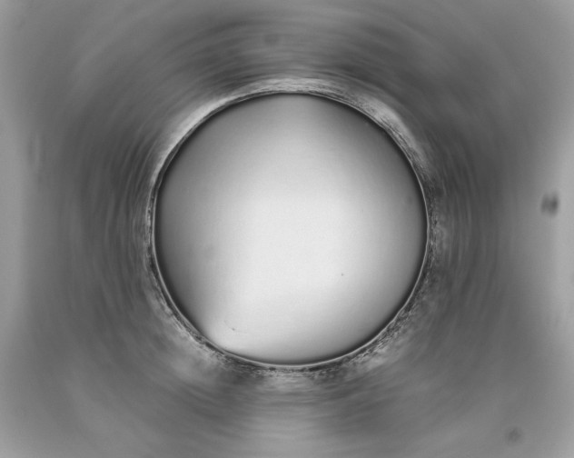 X0000093530852200710261250