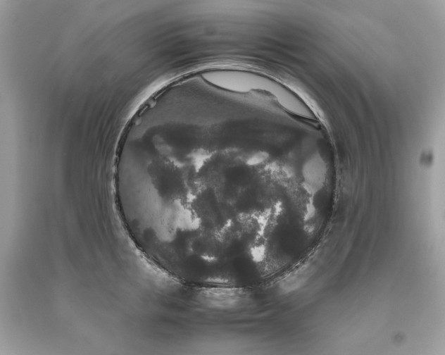 X0000093530853200710261250