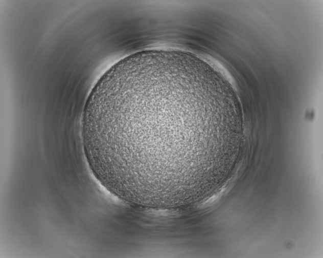 X0000093530855200710261250