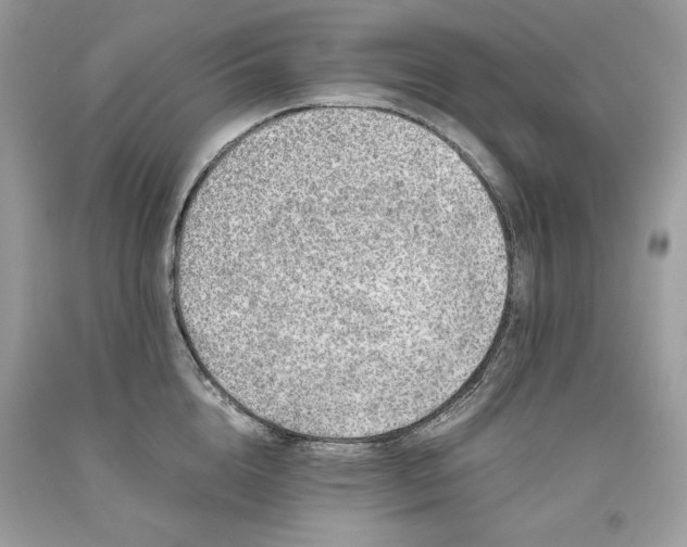 X0000093530856200710261250