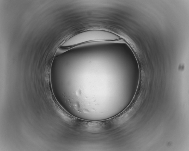 X0000093530857200710261250