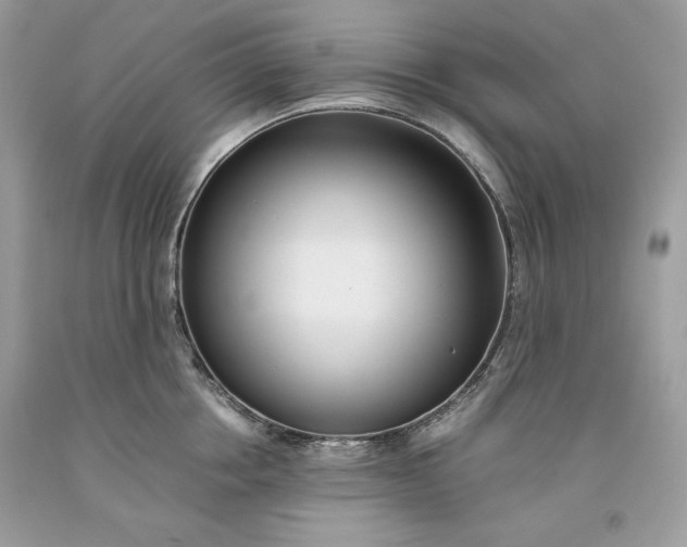 X0000093530858200710261250