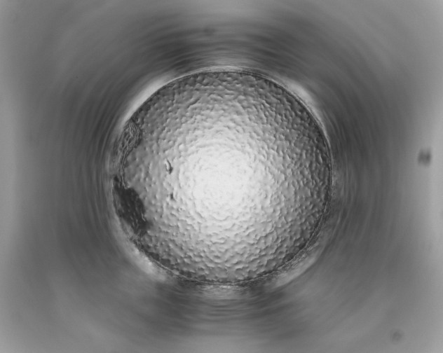 X0000093530859200710261250