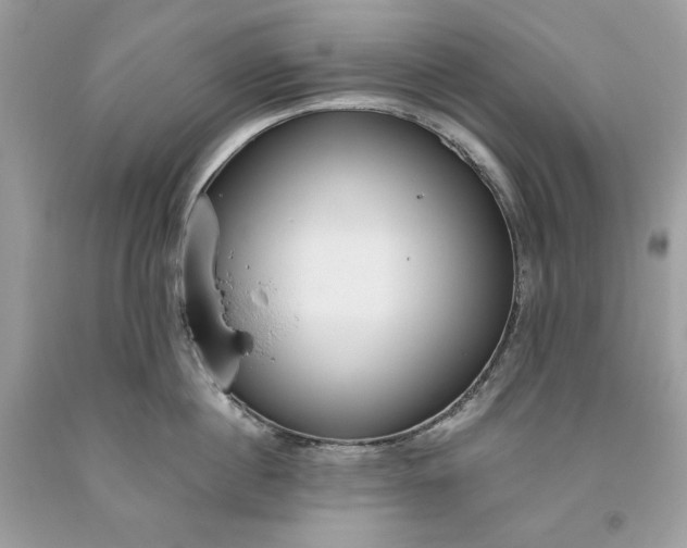 X0000093530860200710261250