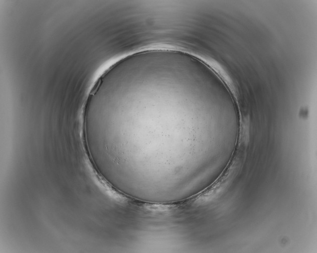 X0000093530862200710261250