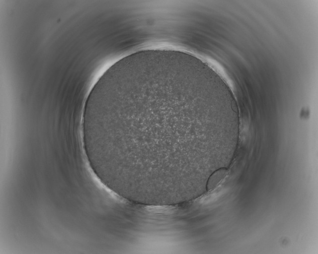 X0000093530863200710261250