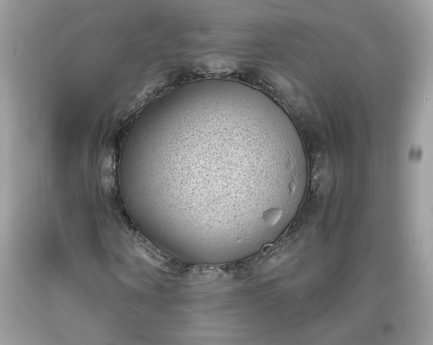 X0000093530866200710261249