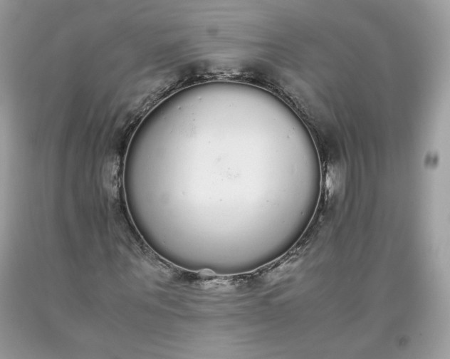 X0000093530867200710261249