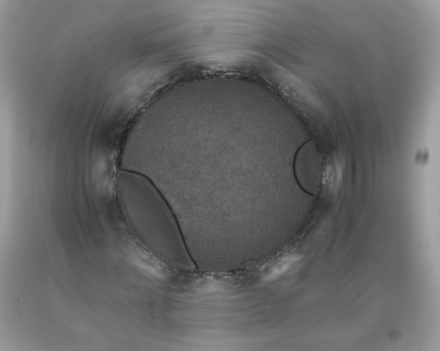 X0000093530868200710261249