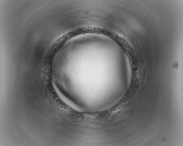 X0000093530870200710261249