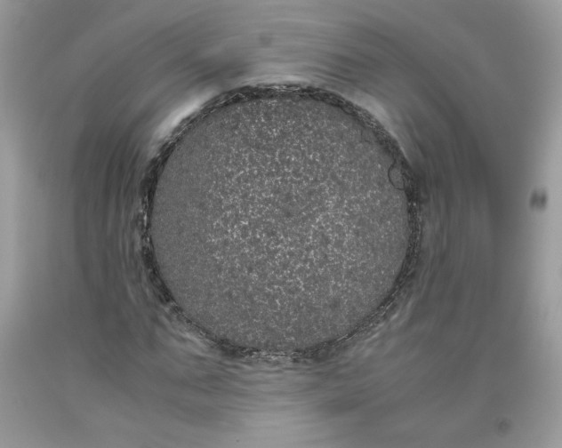 X0000093530871200710261249