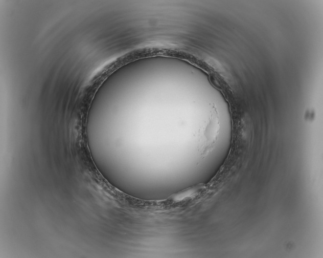 X0000093530872200710261249