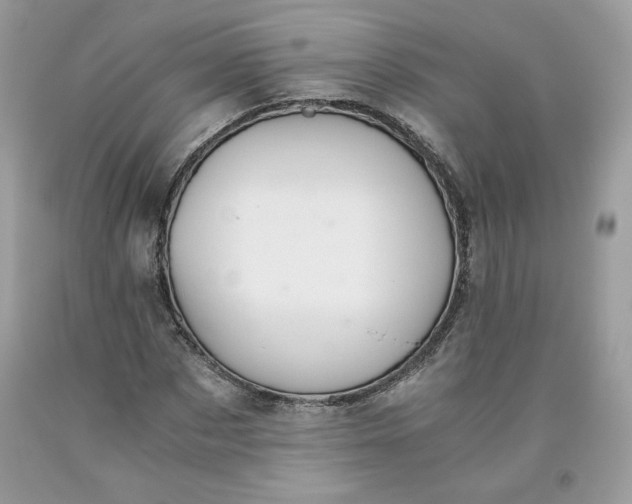 X0000093530873200710261249