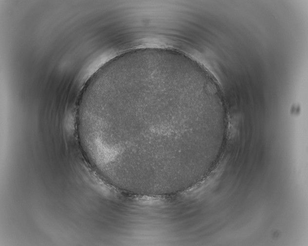 X0000093530874200710261249